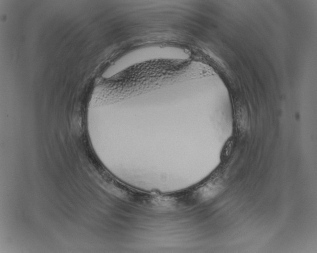 X0000078270261200612011727