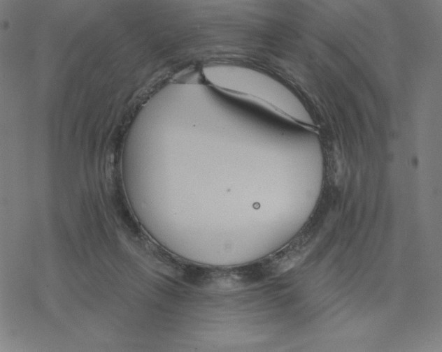 X0000078270263200612011727