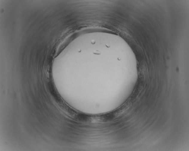 X0000078270264200612011727