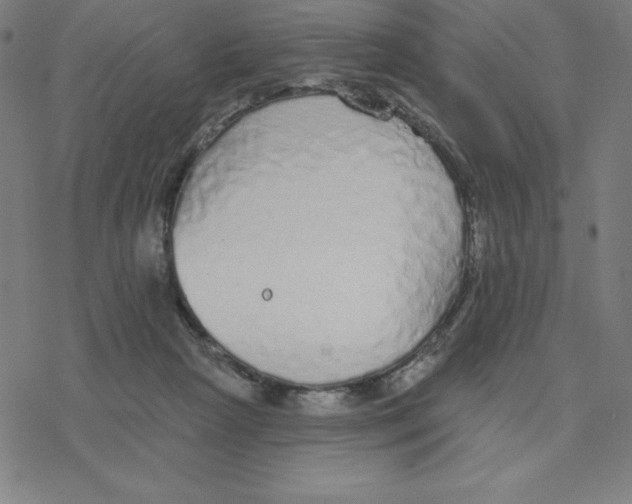 X0000078270265200612011727