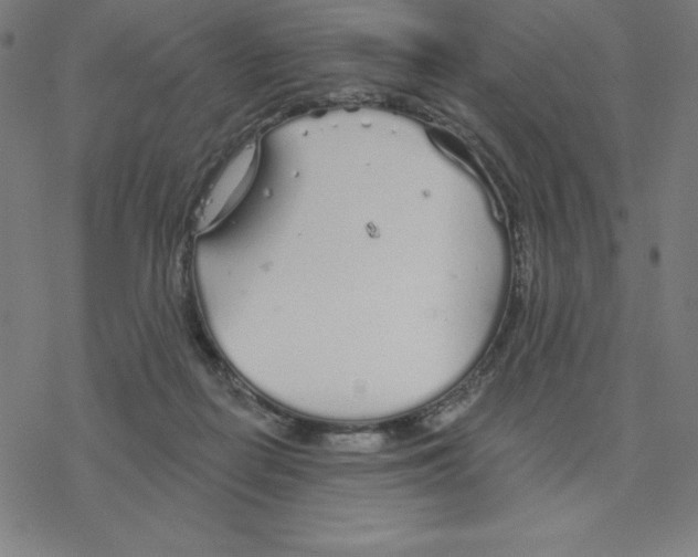 X0000078270266200612011727