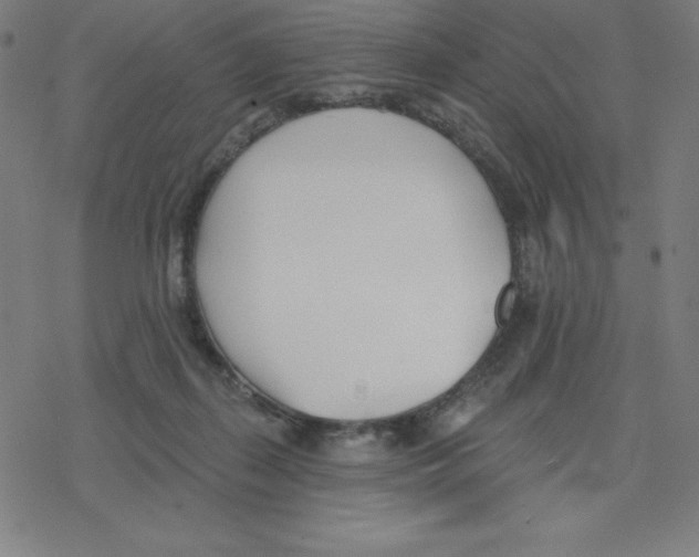 X0000078270267200612011727