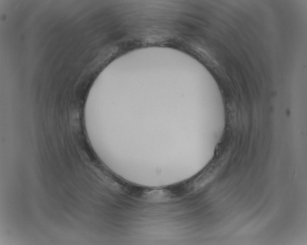 X0000078270269200612011727