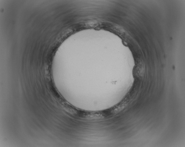 X0000078270270200612011727