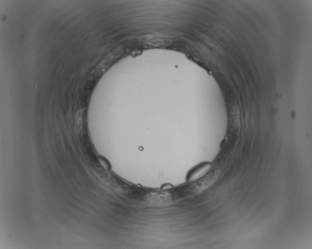 X0000078270271200612011727