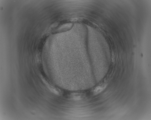 X0000078270272200612011727