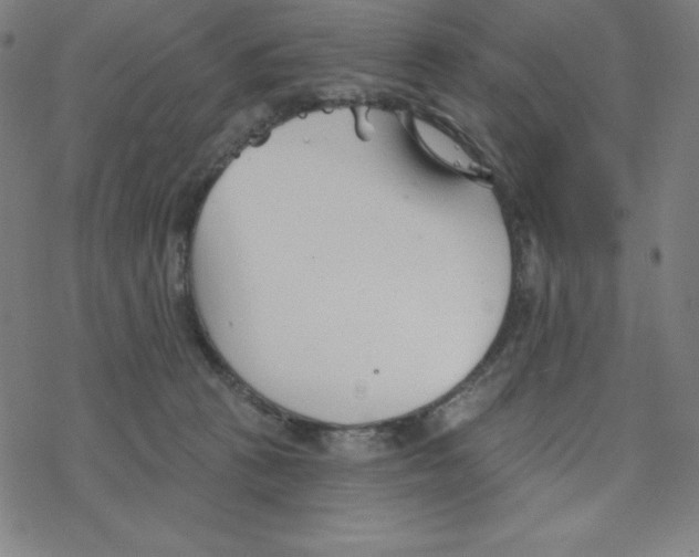 X0000078270273200612011727