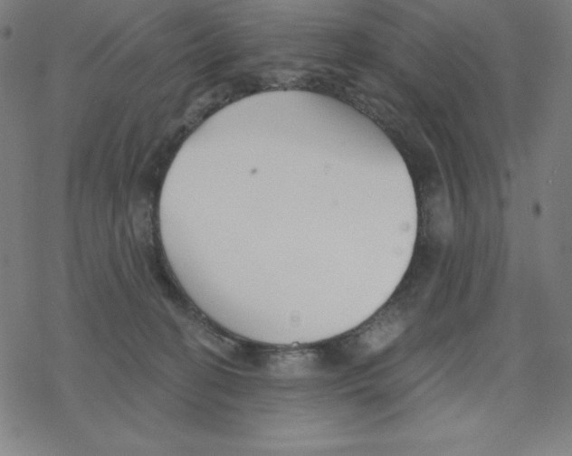 X0000078270274200612011727