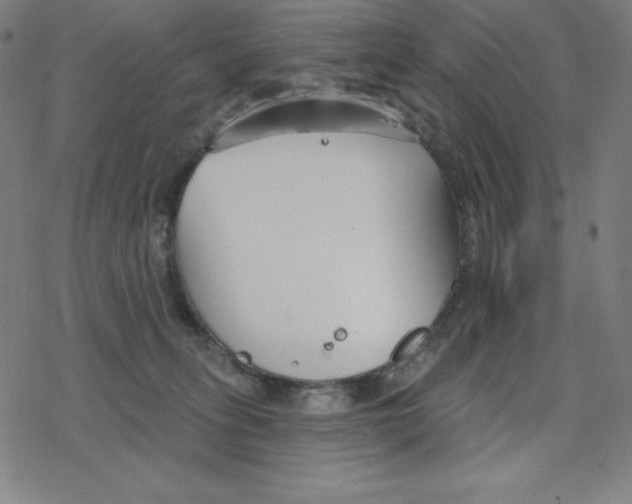 X0000078270275200612011727