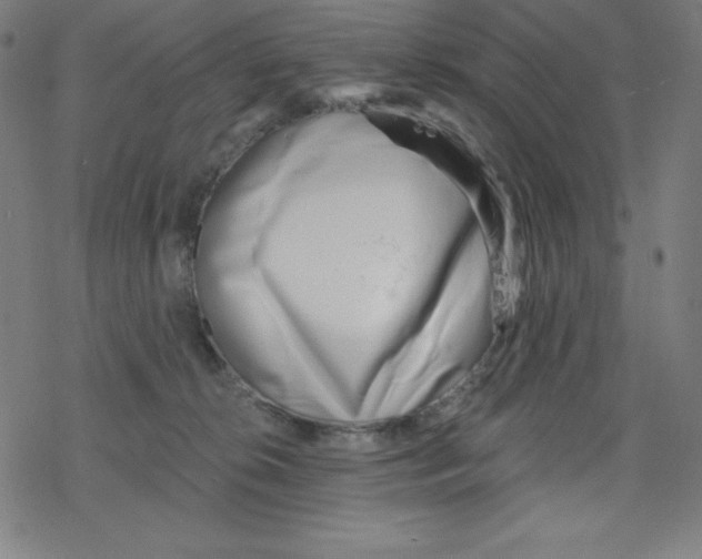 X0000078270276200612011727