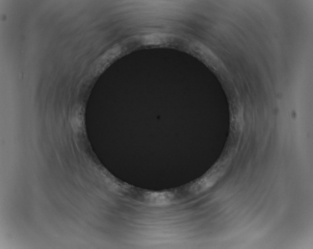 X0000078270277200612011727