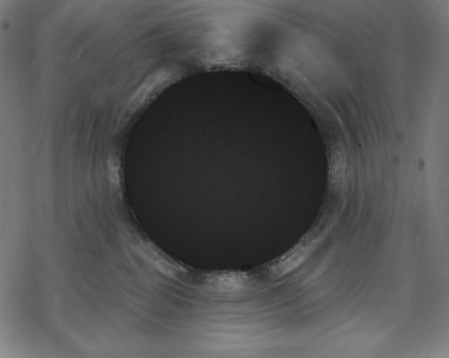 X0000078270282200612011727