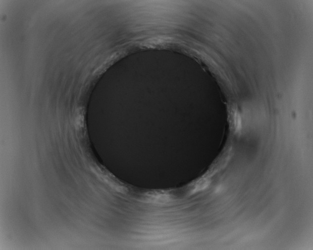 X0000078270284200612011727