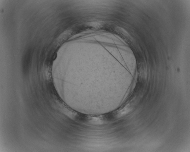 X0000078270285200612011727