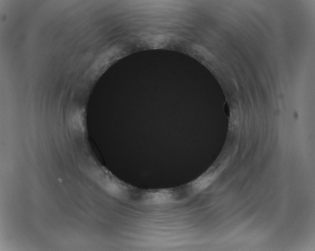 X0000078270286200612011727