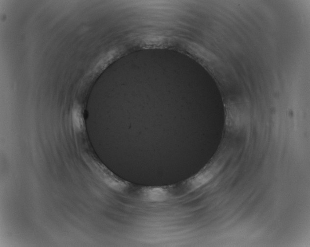 X0000078270287200612011727