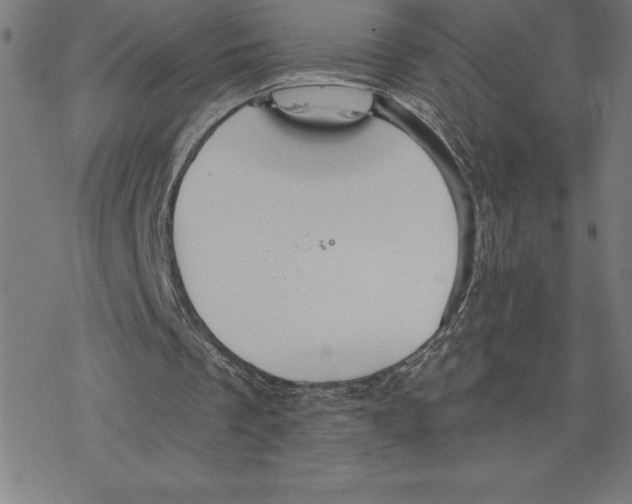 X0000078270289200612011726