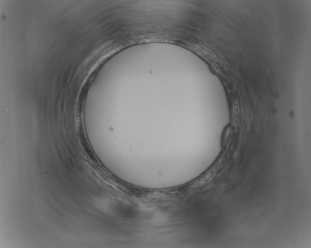 X0000078270290200612011726