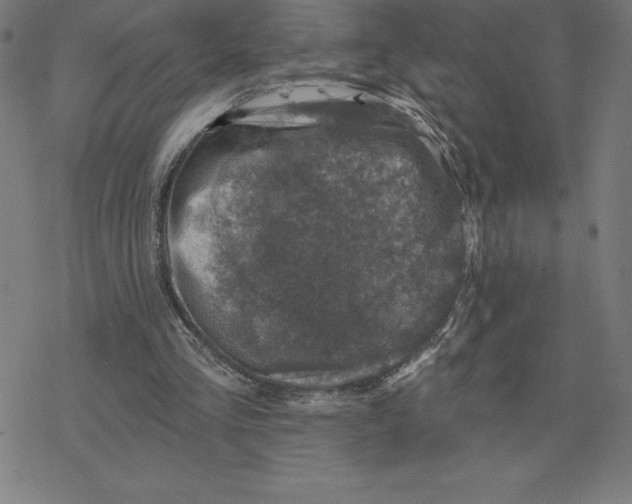 X0000078270293200612011726