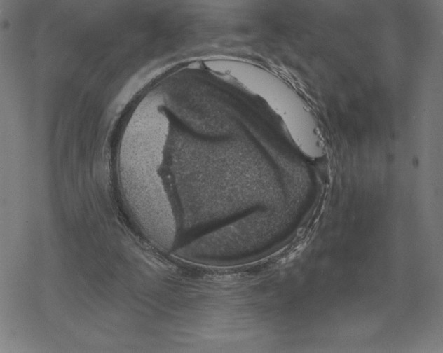 X0000078270295200612011726