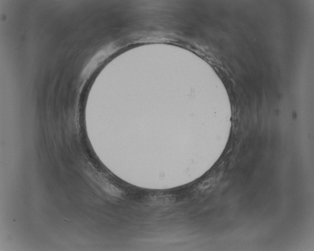 X0000078270296200612011726