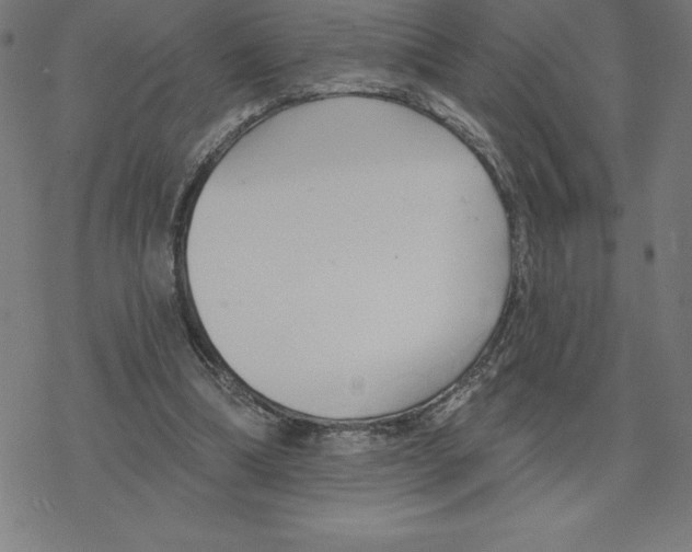 X0000078270298200612011726