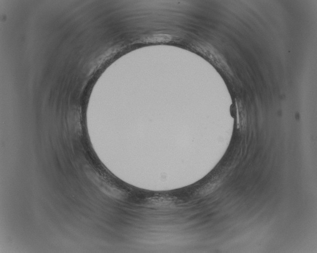 X0000078270300200612011726