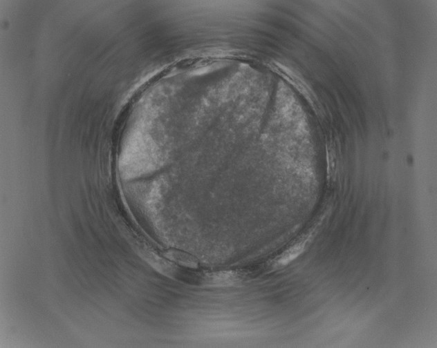 X0000078270301200612011726