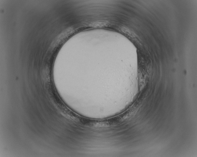 X0000078270303200612011726