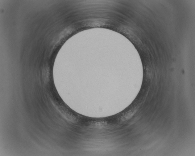 X0000078270304200612011726