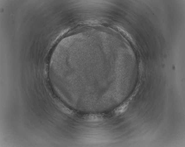 X0000078270305200612011726