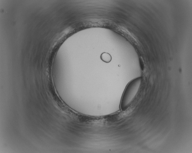 X0000078270306200612011726