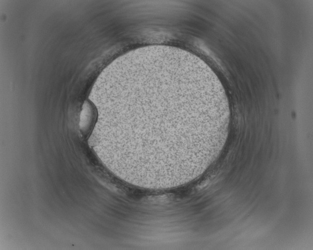 X0000078270307200612011726