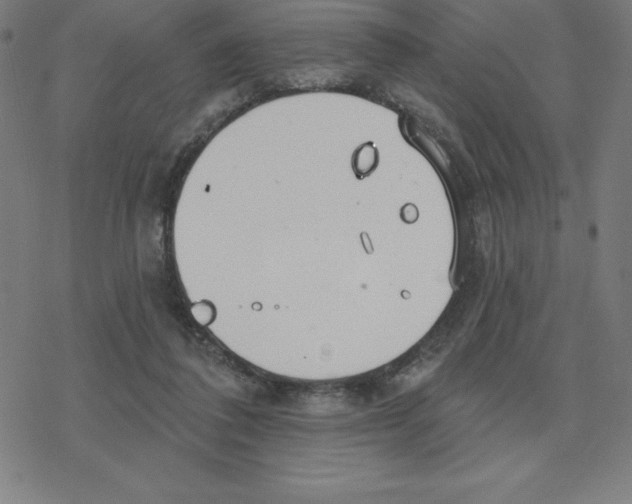 X0000078270308200612011726