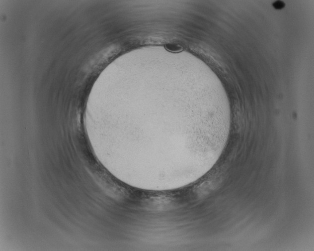 X0000078270310200612011726