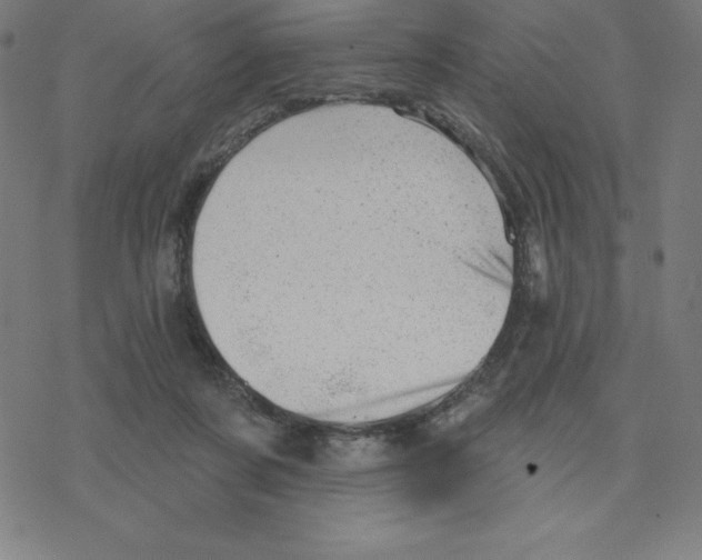 X0000078270311200612011726