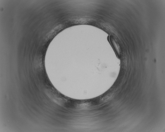 X0000078270312200612011726