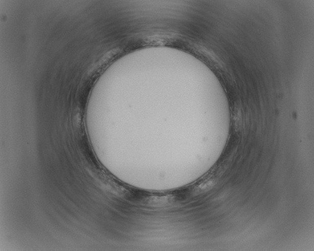 X0000078270314200612011726