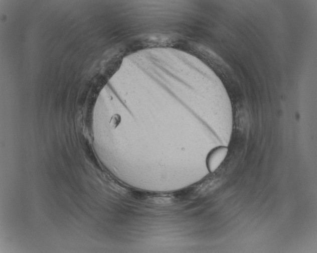 X0000078270318200612011726