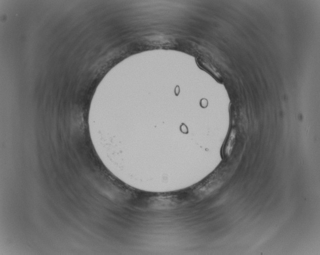 X0000078270320200612011726