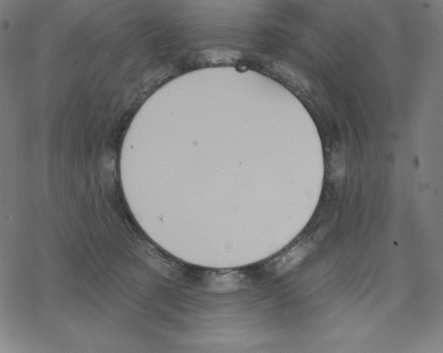 X0000078270321200612011726