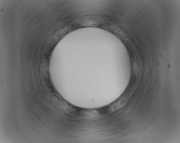 X0000078270322200612011726