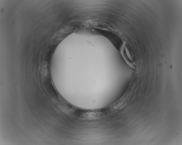 X0000078270323200612011726