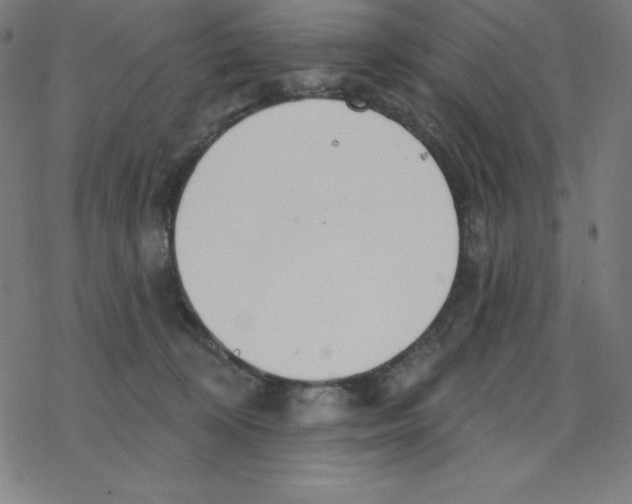 X0000078270324200612011726