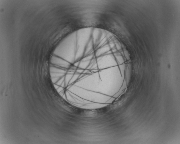 X0000078270325200612011726