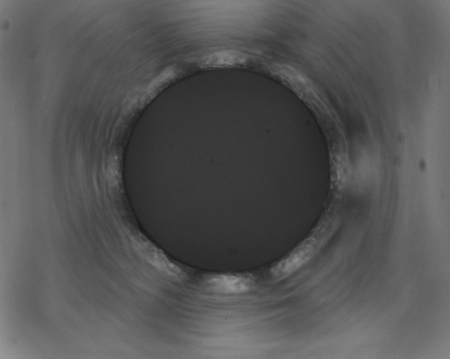 X0000078270326200612011726