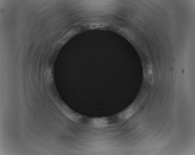 X0000078270327200612011726