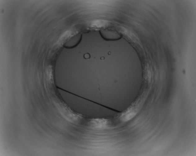 X0000078270328200612011726