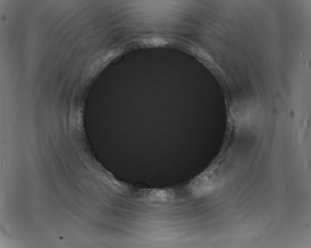 X0000078270330200612011725