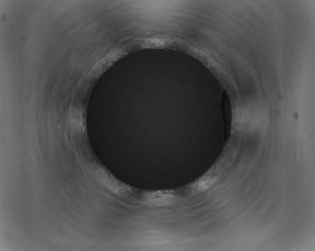 X0000078270331200612011725